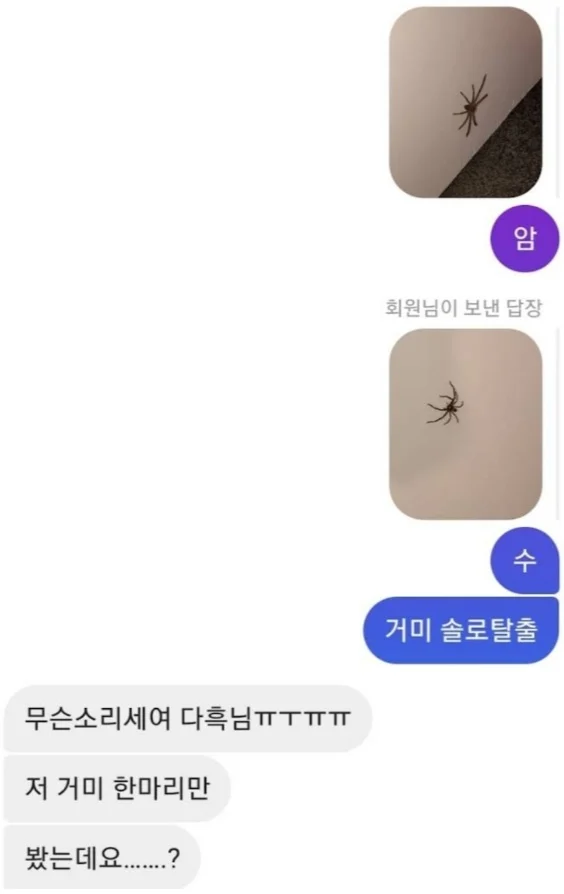 구독자의 고통을 즐기는유튜버