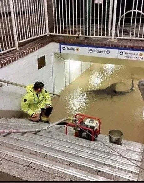 홍수난 호주 기차역...