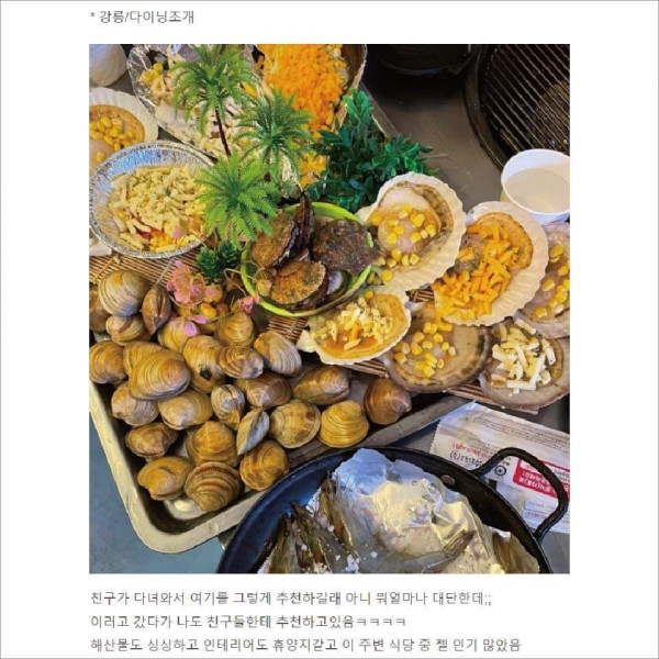 내돈내산 강원도 맛집 모음