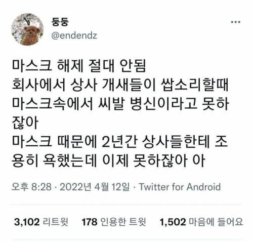 마스크 해제 하면 안되는이유