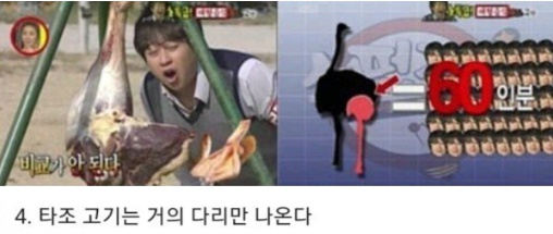 동물들의 10가지 비밀