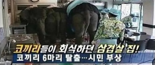 연예계 3대 전설로 불리는 사건