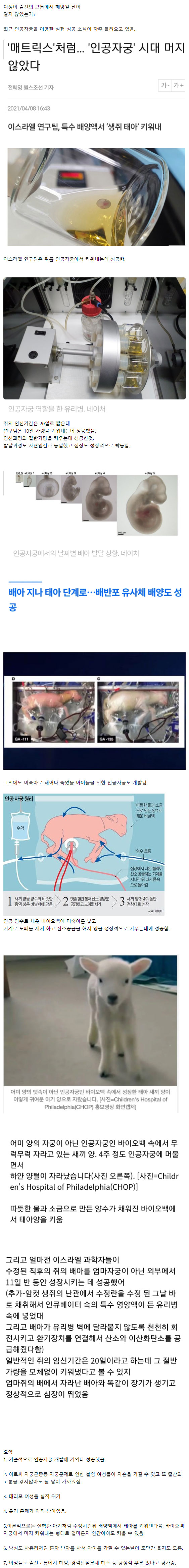 인공자궁 개발 상황