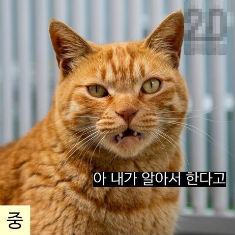 나이대별 부모님 눈에 비친 내 모습