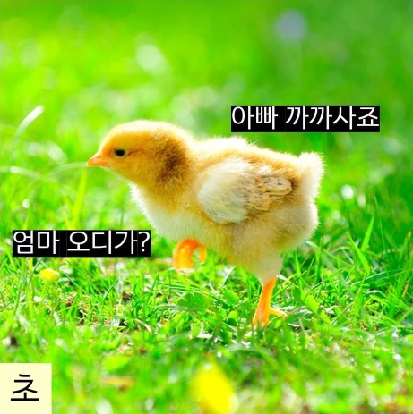 나이대별 부모님 눈에 비친 내 모습