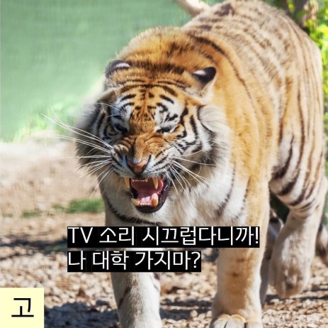 나이대별 부모님 눈에 비친 내 모습