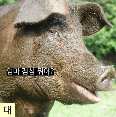 나이대별 부모님 눈에 비친 내 모습