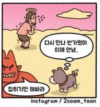 저승에서 만난 반려견.