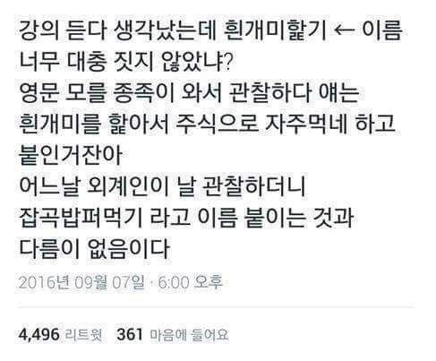 이름을 너무 대충 지은 동물