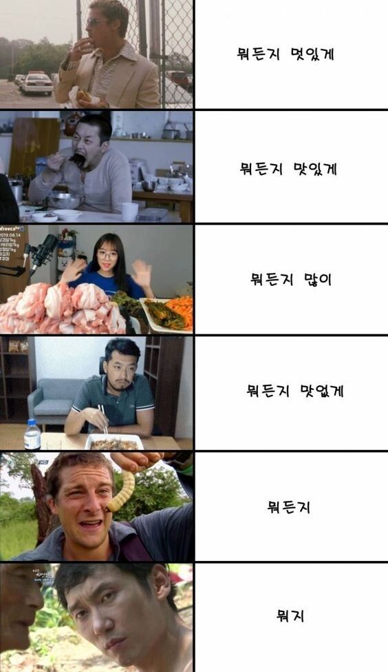 음식을 먹는 여러 유형