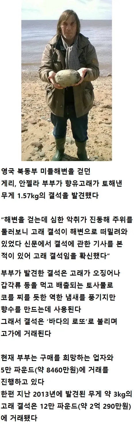 해변가 산책하다가 발견한 악취나는 로또