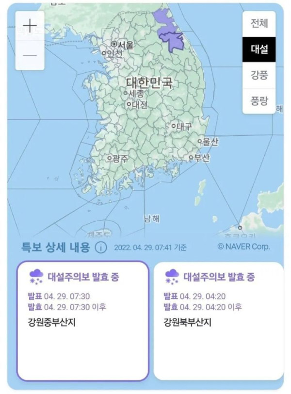 오늘자 미쳐버린 강원도 근황