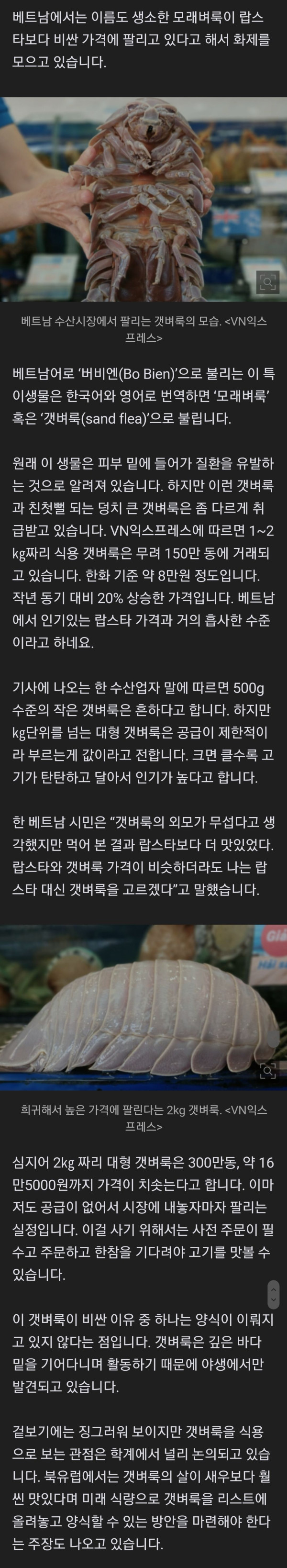 랍스터보다 비싼 갑각류