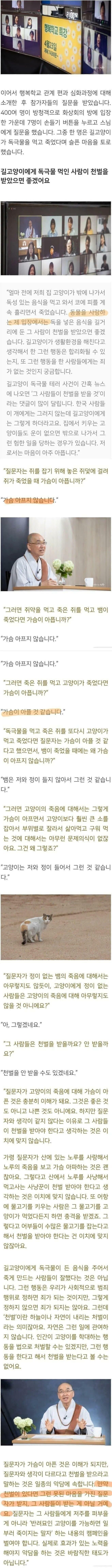 캣맘에 대한 스님의 설교