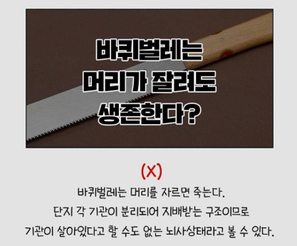 세스코가 밝힌 바퀴벌레에 대한 충격적인 비밀