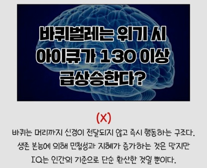 세스코가 밝힌 바퀴벌레에 대한 충격적인 비밀