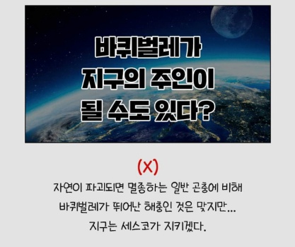 세스코가 밝힌 바퀴벌레에 대한 충격적인 비밀