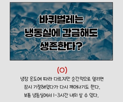 세스코가 밝힌 바퀴벌레에 대한 충격적인 비밀