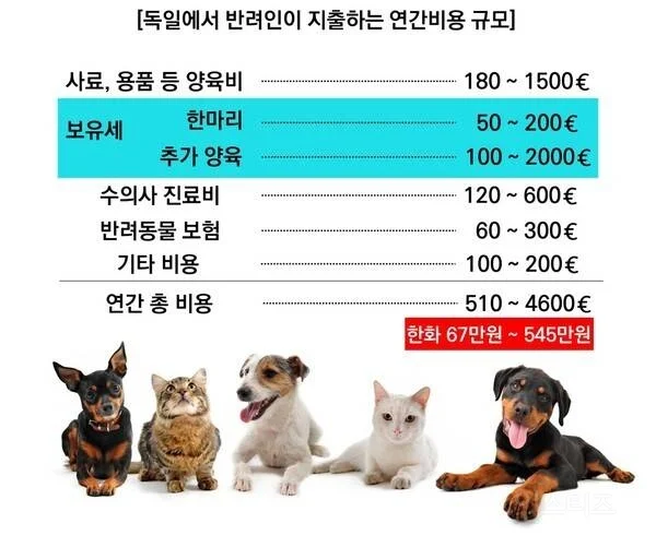 선진국에선 이미 시행중인 반려동물 보유세 도입 찬반