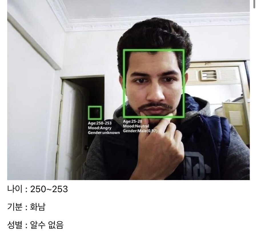 뭔가를 인식한 안면 분석 프로그램.