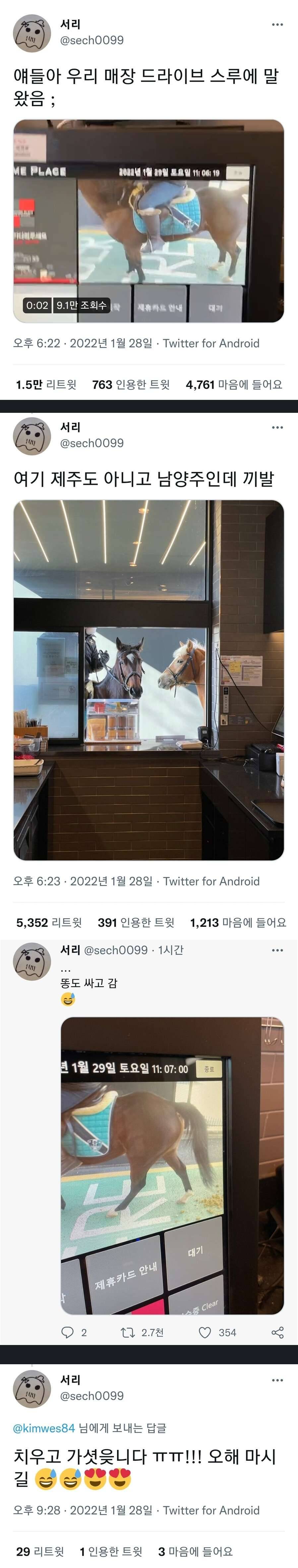 드라이브 스루에 등장한 말