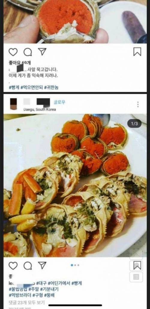 2천만원짜리 대게 인증샷