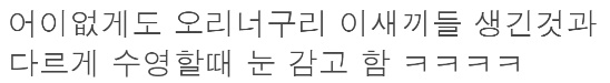 과학자들도 놀란 조물주가 실수로 만들어버린 동물