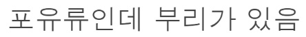 과학자들도 놀란 조물주가 실수로 만들어버린 동물