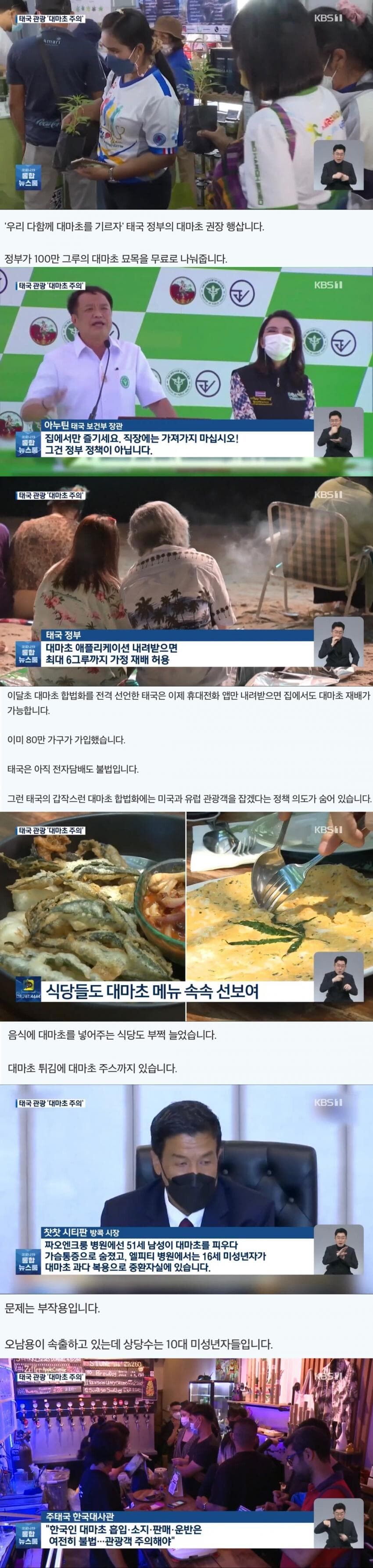 태국, 아시아 최초로 대.마.초 합법