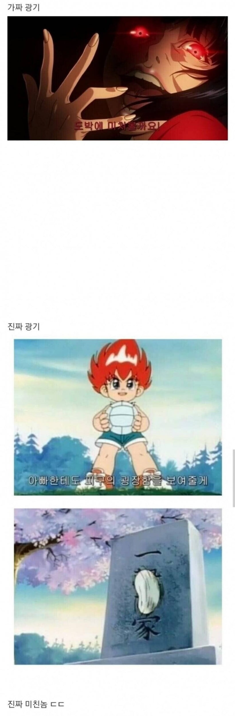 가짜 광기 vs 진짜 광기