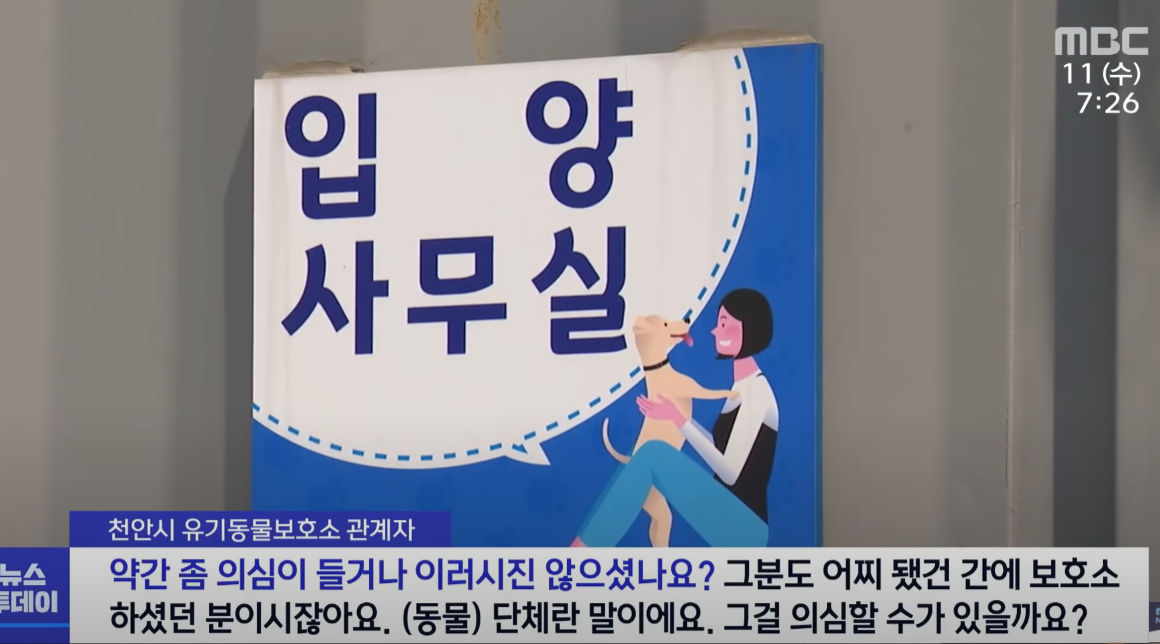 복날에 사라진 대형견들