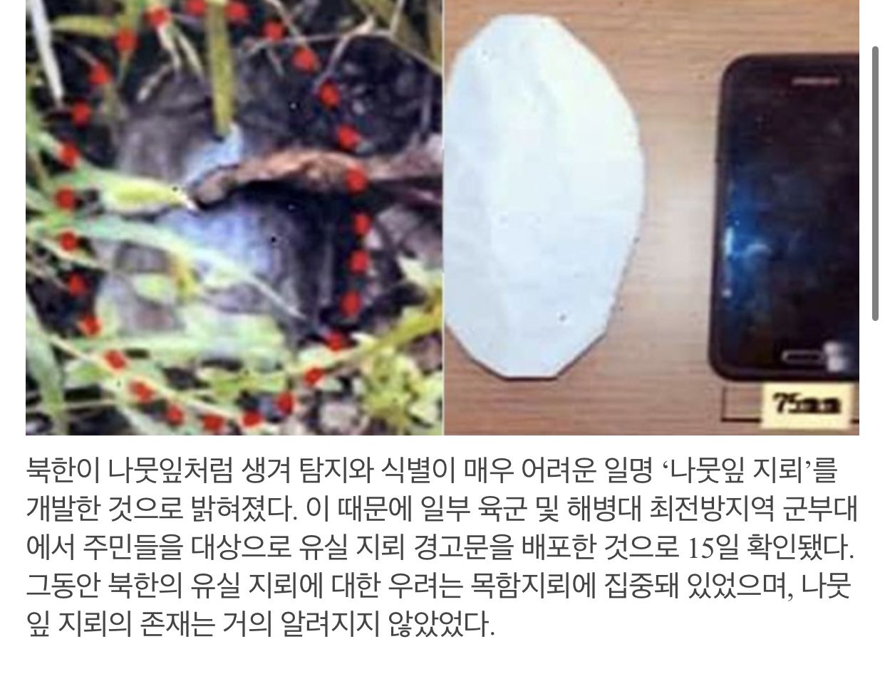 야외에서 봤을 때 절대 건드리면 안 되는 물건