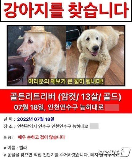 남의집 애완견 잡아먹은 남성 입건