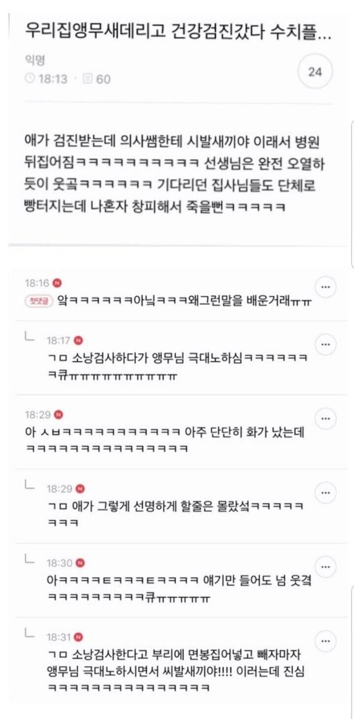 앵무새 병원에서 수치플