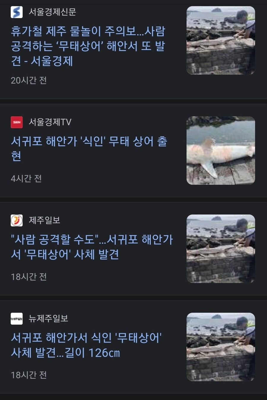 사람 공격하는 식인상어 발견된 제주도