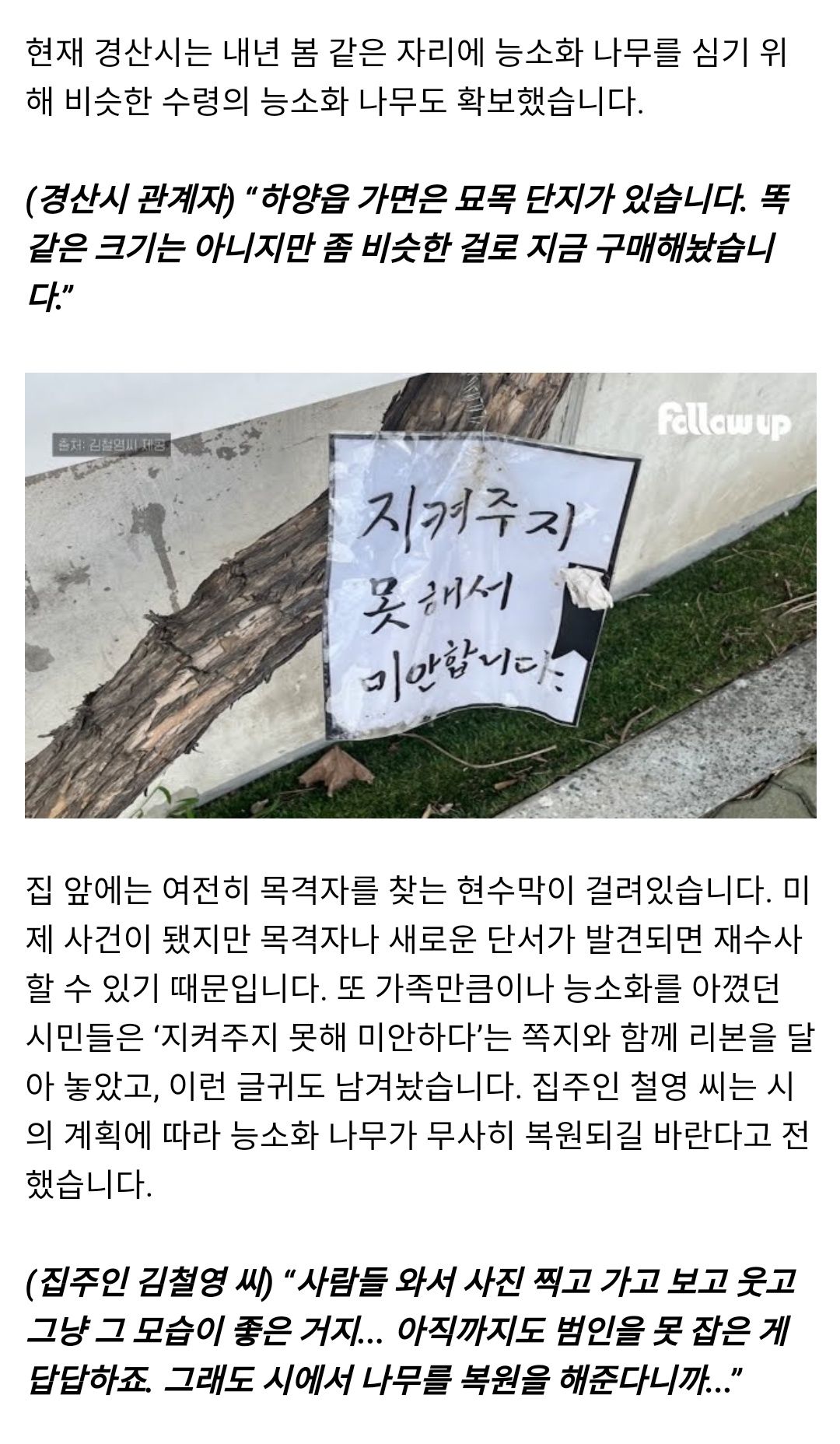 능소화 훼손된 집 근황