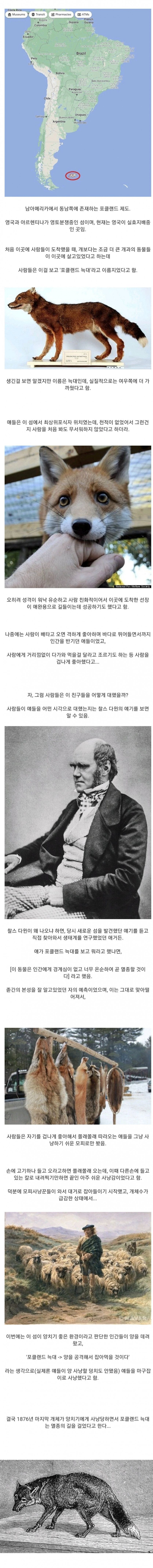 사람을 너무 좋아해서 멸종된 동물