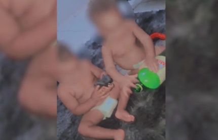 쌍둥이 DNA 검사했더니 '아빠가 다르다'…브라질서 희귀 사례