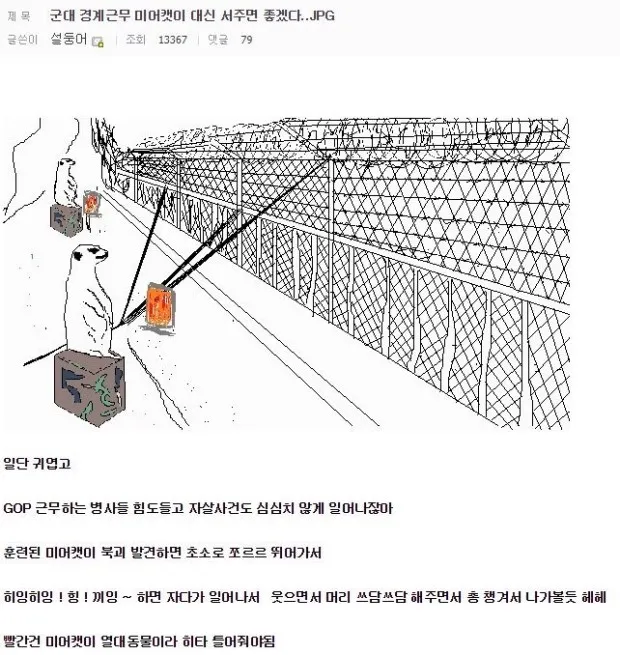 미어켓이 대신 경계근무 서주면 좋겠다.