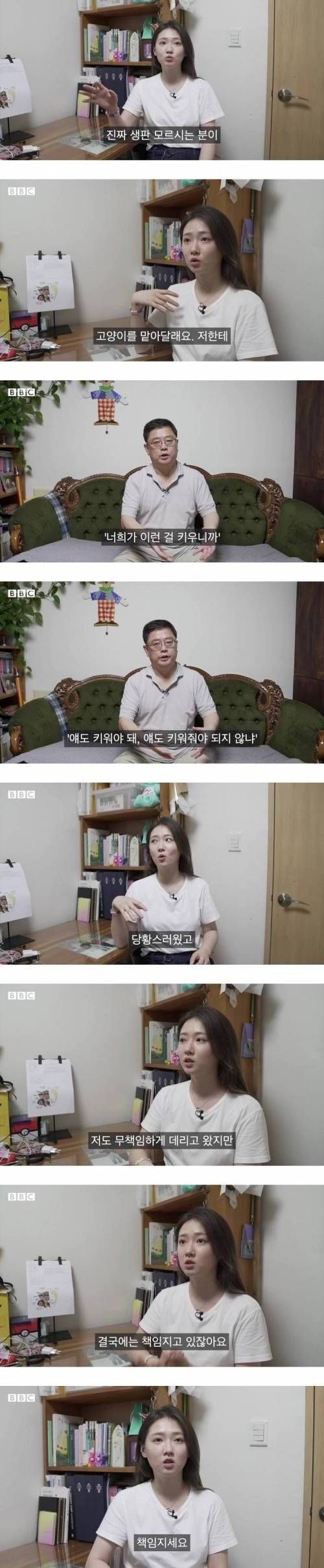 장애가있는 고양이를 키우면 생기는일