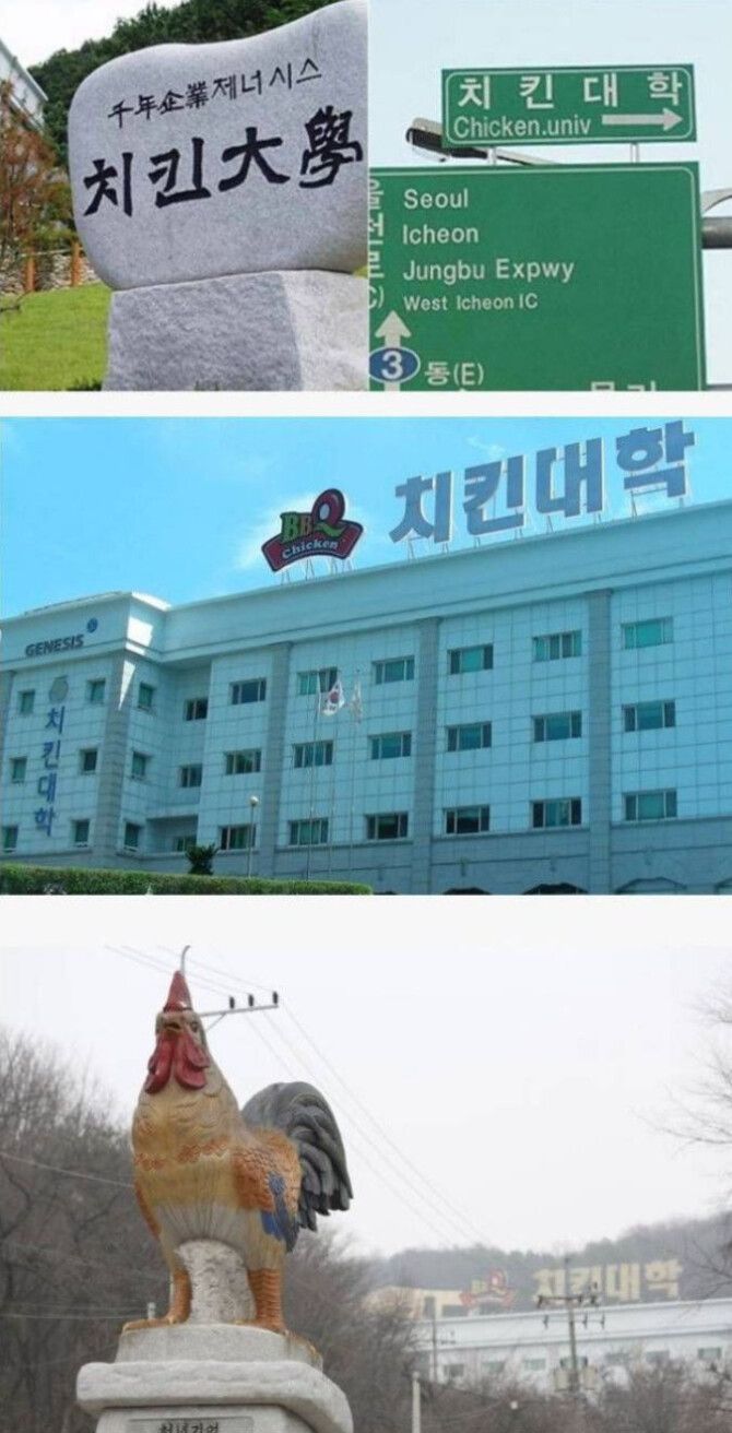 실제로 있는데 안 믿는 대학