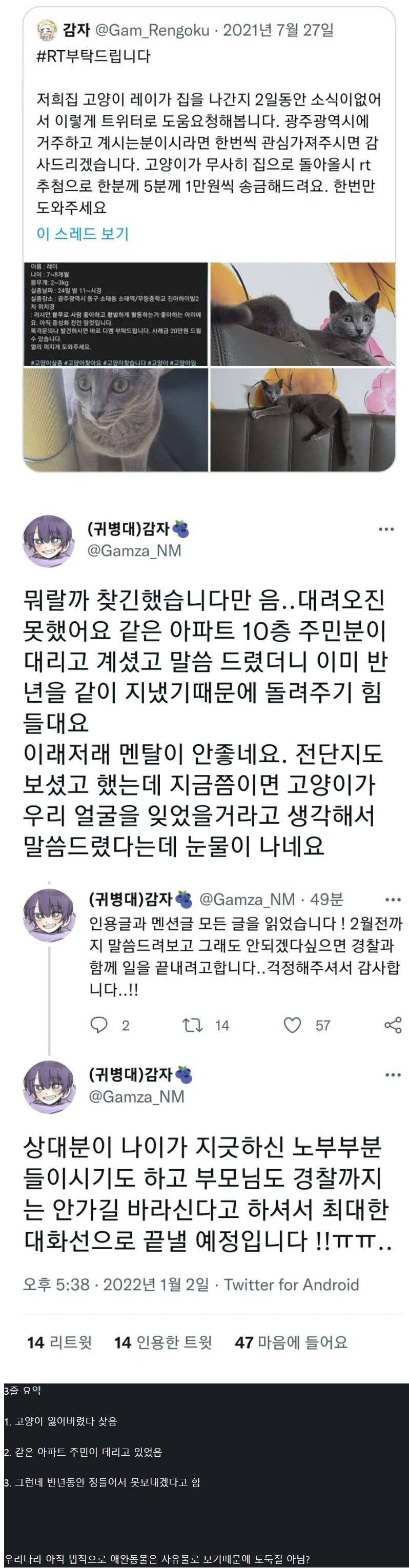 애완묘 실종 사건