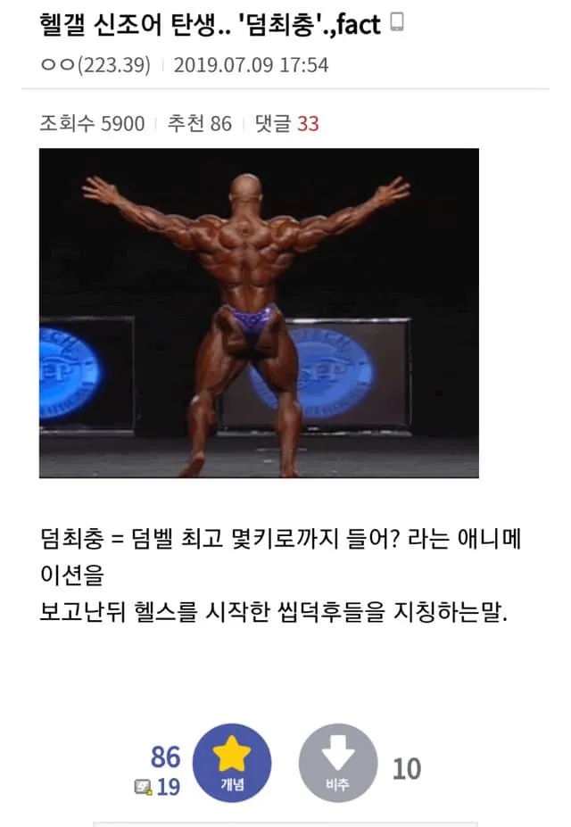 헬스애니 영향력 레전드