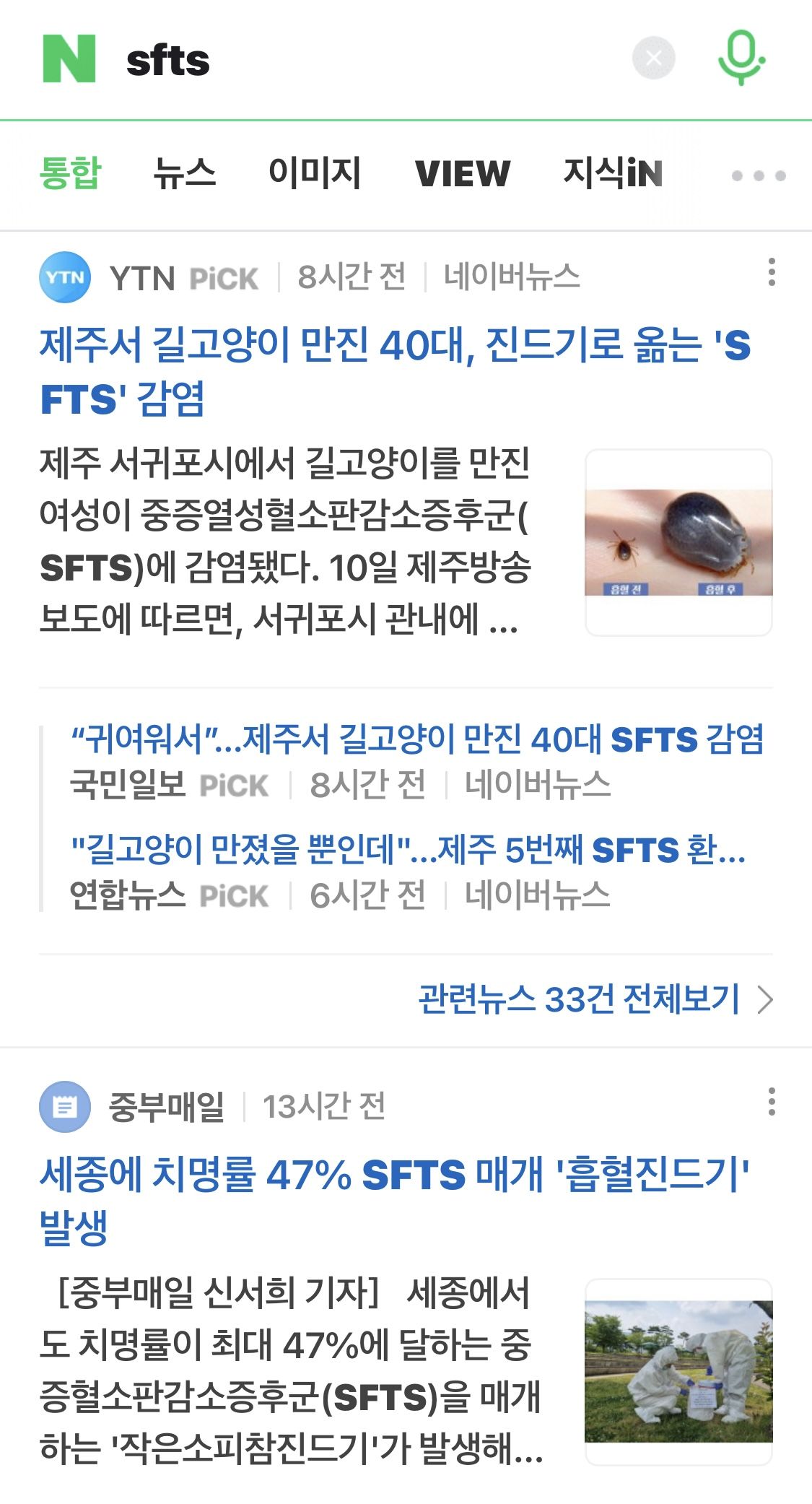 길고양이 SFTS감염 조심