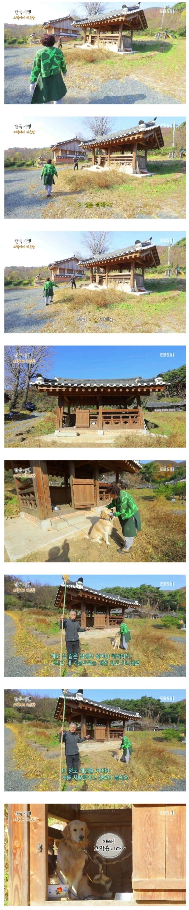 근본 있는 집의 개집