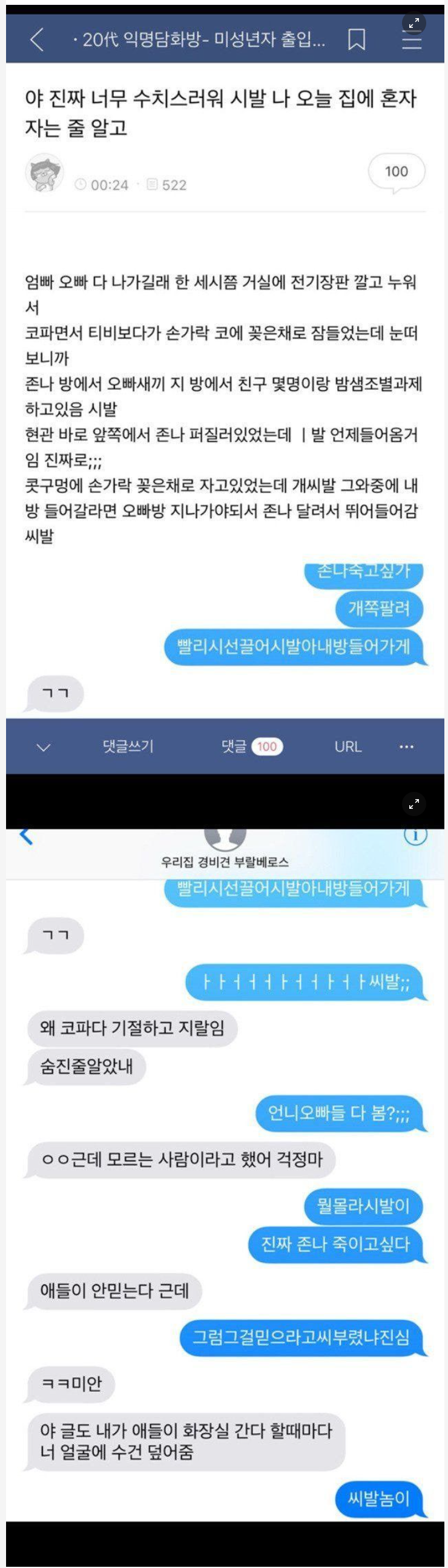 수치스러운 여동생