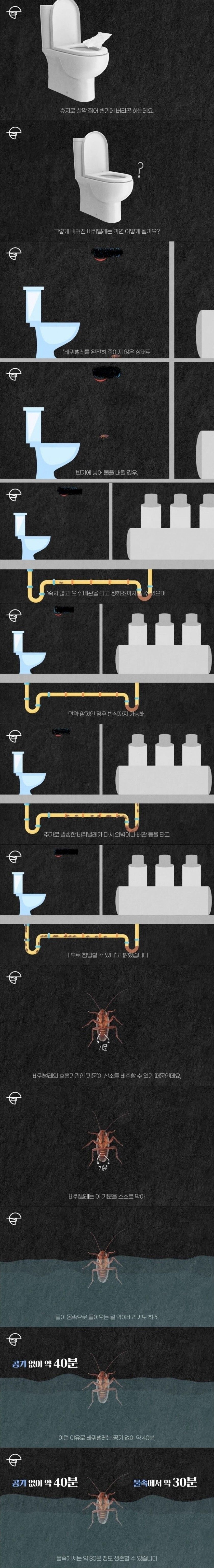 바퀴벌레 변기에 물내리면 안되는 이유