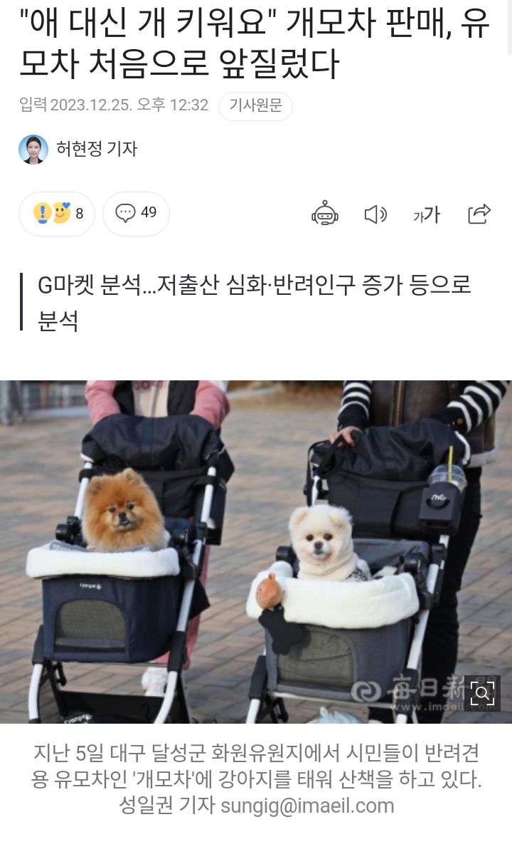 지금 출산율의 현실을 보여주는 기사