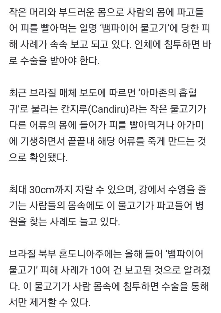 혐) 사람 항문 파고들어가 피 빨아먹는 물고기