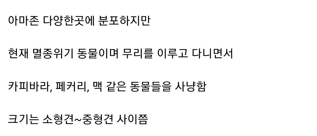 현존하는 가장 원시적인 개과 동물 아마존 부시독